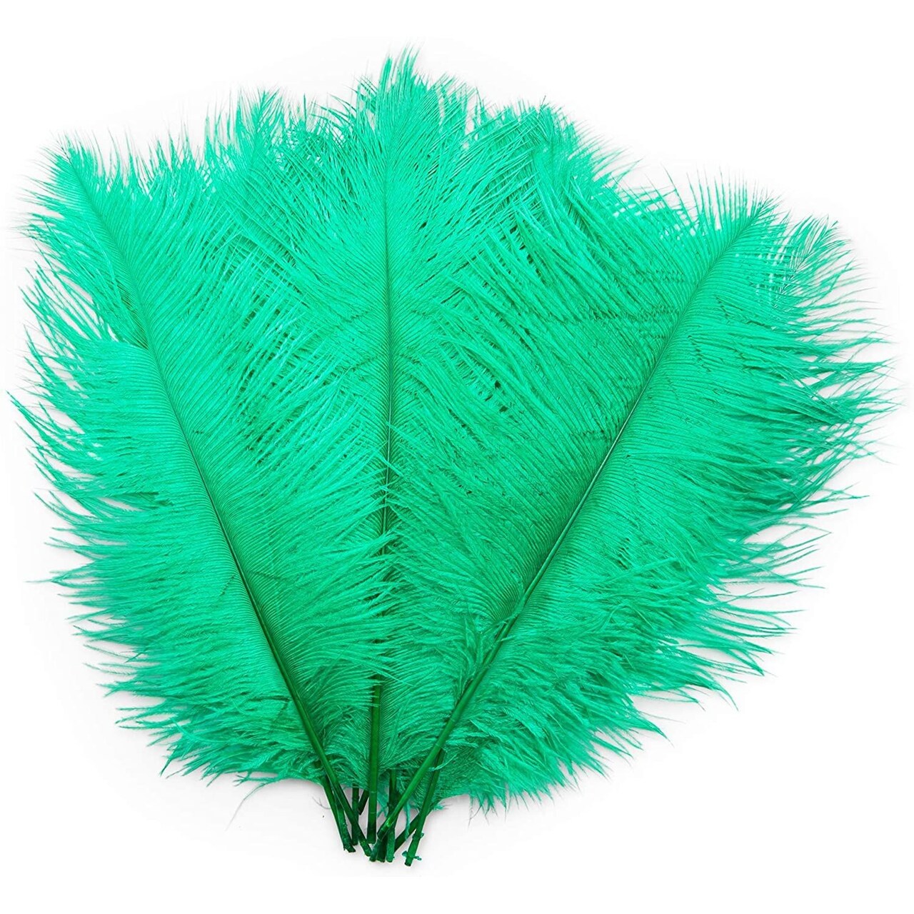 12-Pack Ostrich Feathers, Artificial Feather Plumes for Arts and Crafts, Faux Bird Plumage Trim for Costume and Outfit Decorations, 12-14-Inch Quills for Home Decor (Green)